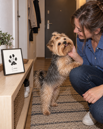 Su huella para siempre — Kit de huellas para mascotas